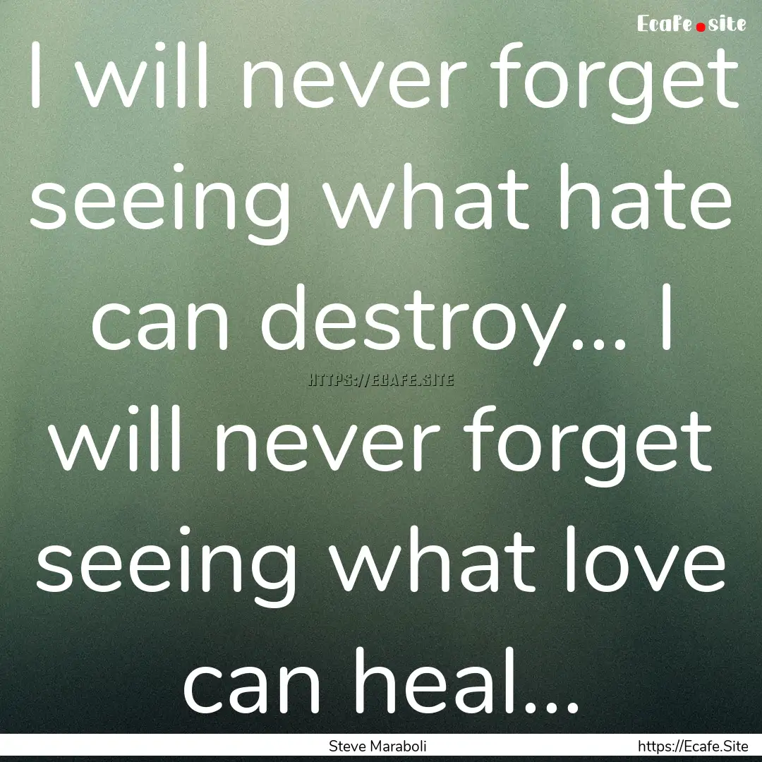 I will never forget seeing what hate can.... : Quote by Steve Maraboli