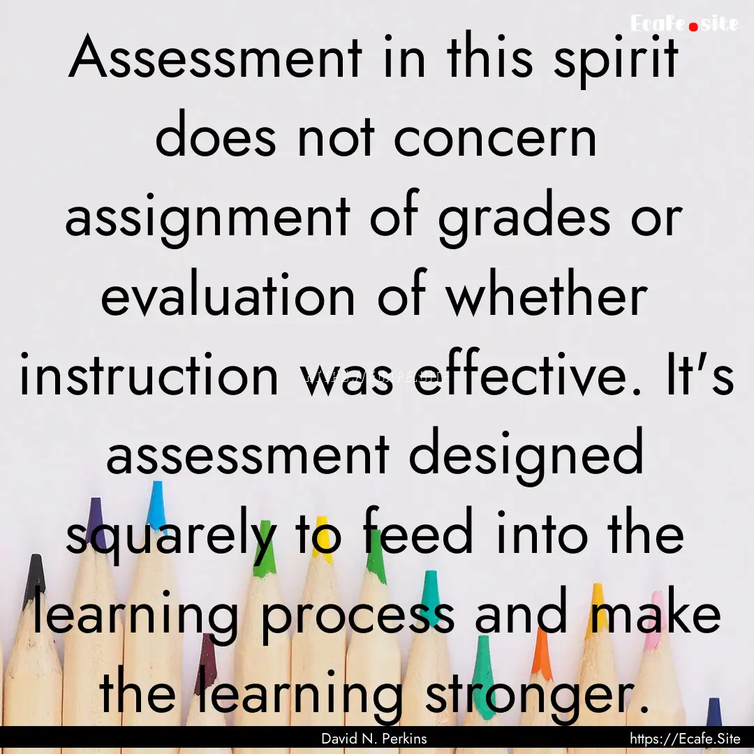 Assessment in this spirit does not concern.... : Quote by David N. Perkins