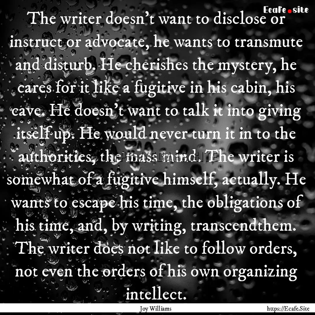 The writer doesn’t want to disclose or.... : Quote by Joy Williams