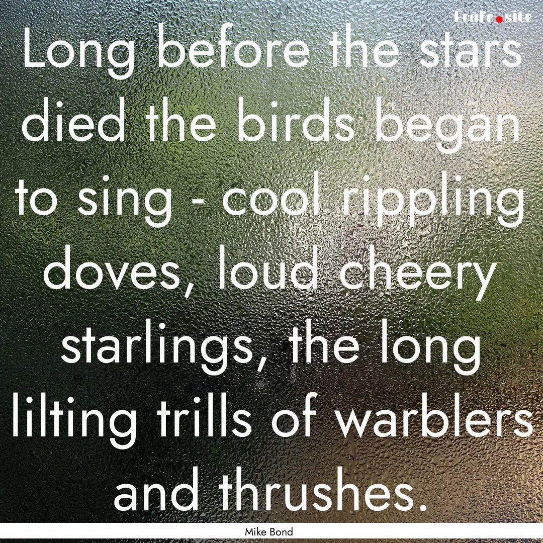 Long before the stars died the birds began.... : Quote by Mike Bond