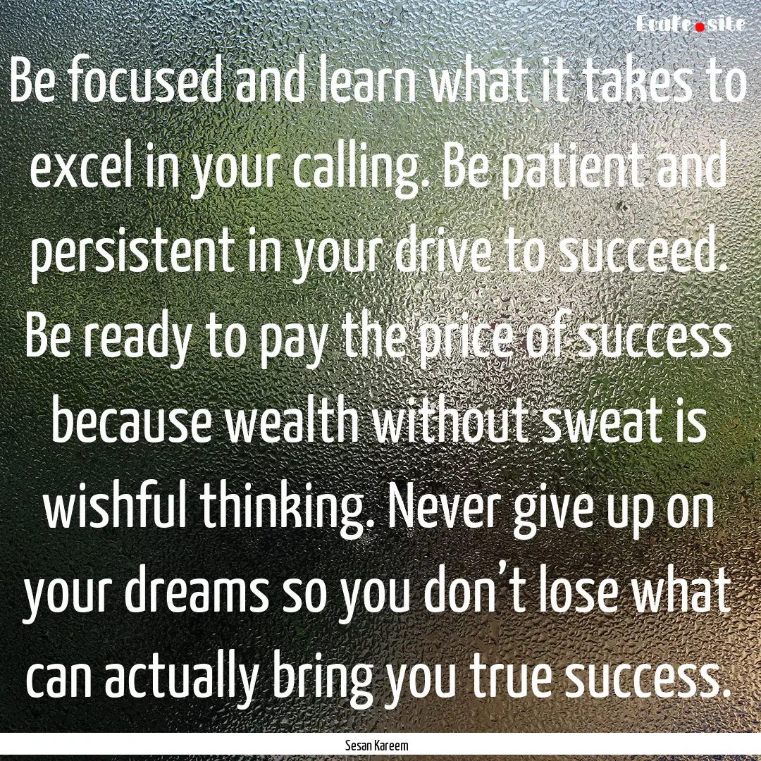 Be focused and learn what it takes to excel.... : Quote by Sesan Kareem