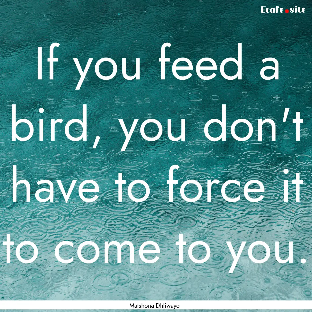 If you feed a bird, you don't have to force.... : Quote by Matshona Dhliwayo