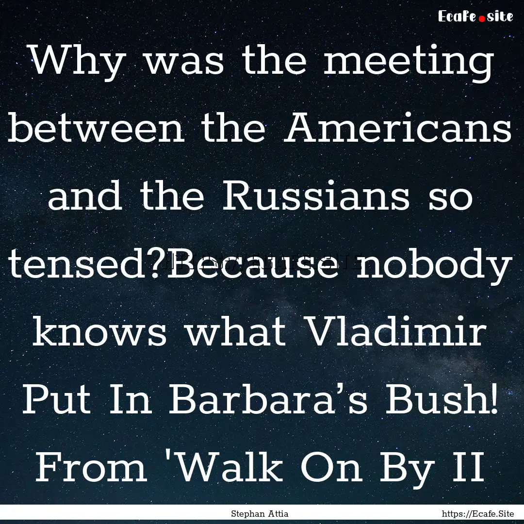 Why was the meeting between the Americans.... : Quote by Stephan Attia