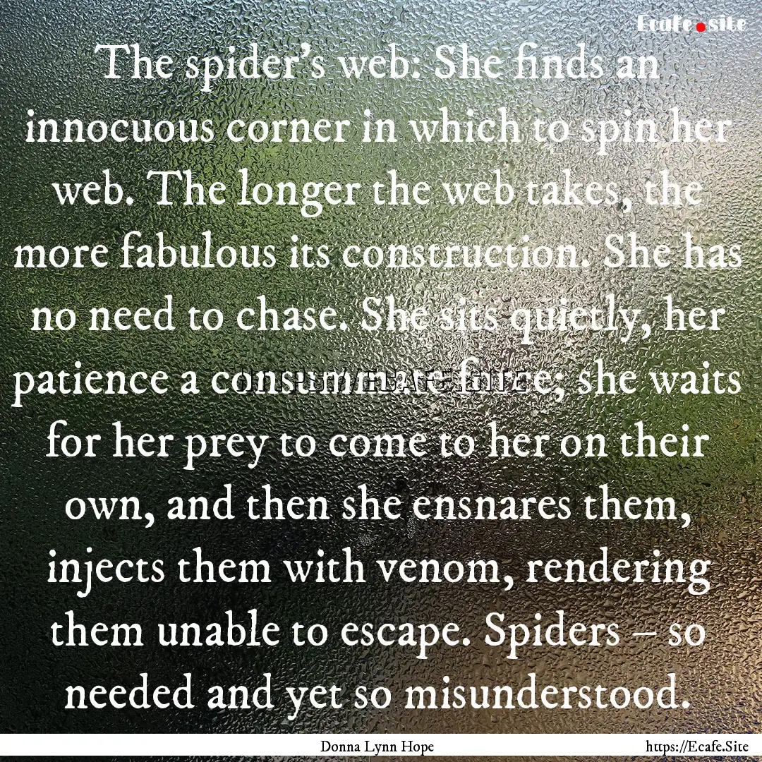 The spider's web: She finds an innocuous.... : Quote by Donna Lynn Hope