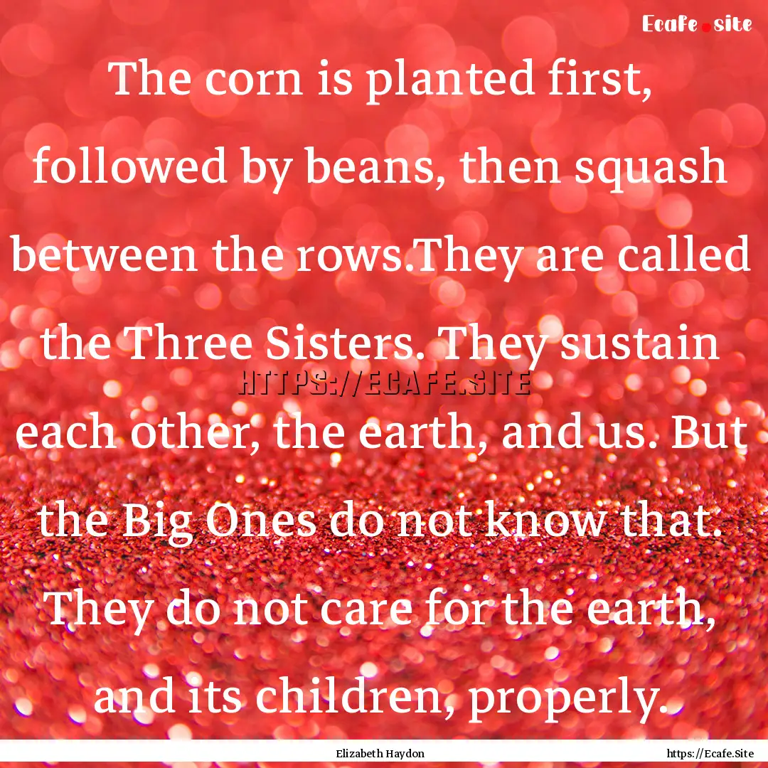 The corn is planted first, followed by beans,.... : Quote by Elizabeth Haydon