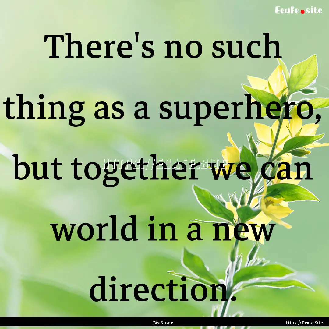 There's no such thing as a superhero, but.... : Quote by Biz Stone