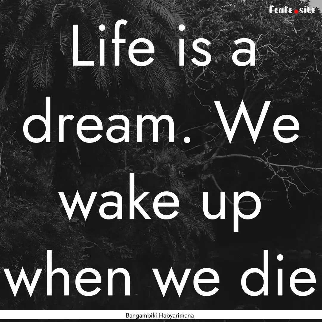 Life is a dream. We wake up when we die : Quote by Bangambiki Habyarimana