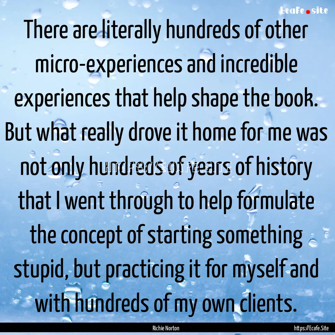 There are literally hundreds of other micro-experiences.... : Quote by Richie Norton