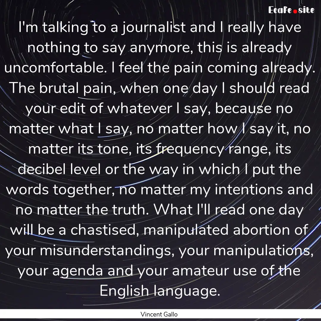 I'm talking to a journalist and I really.... : Quote by Vincent Gallo