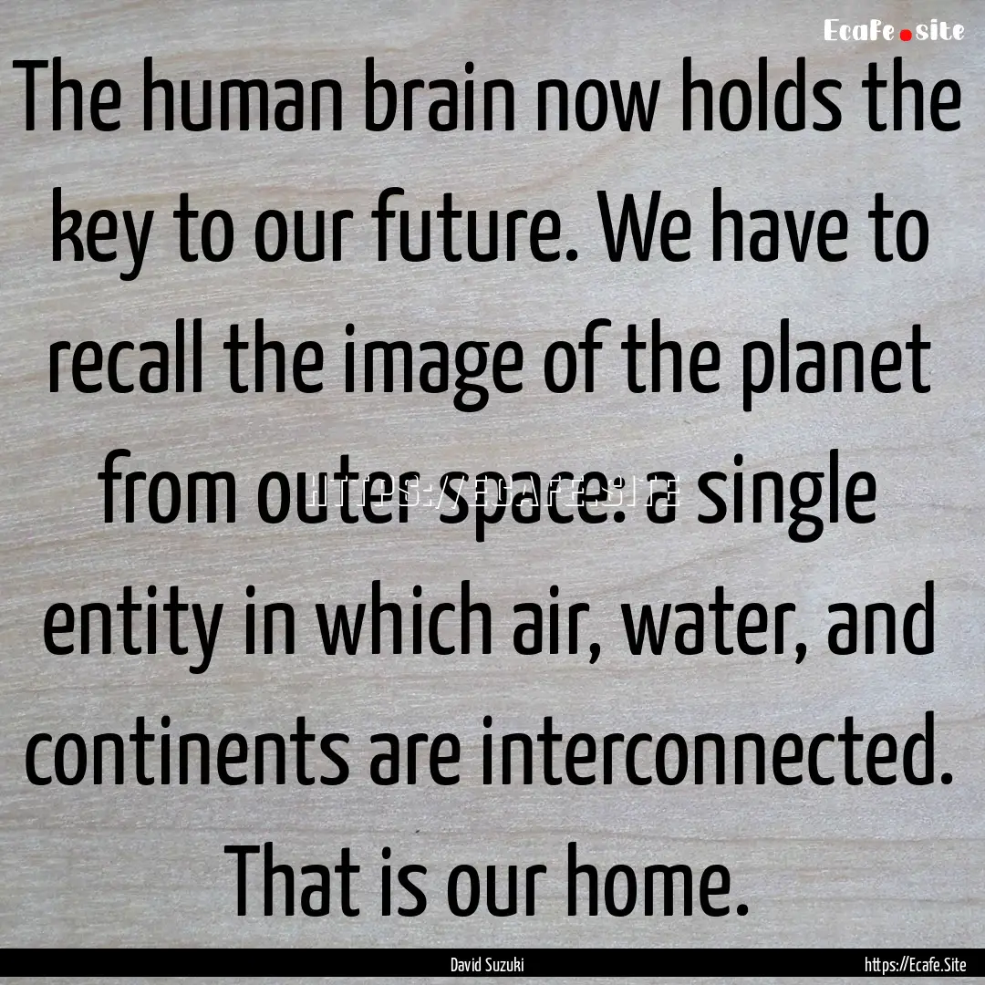 The human brain now holds the key to our.... : Quote by David Suzuki