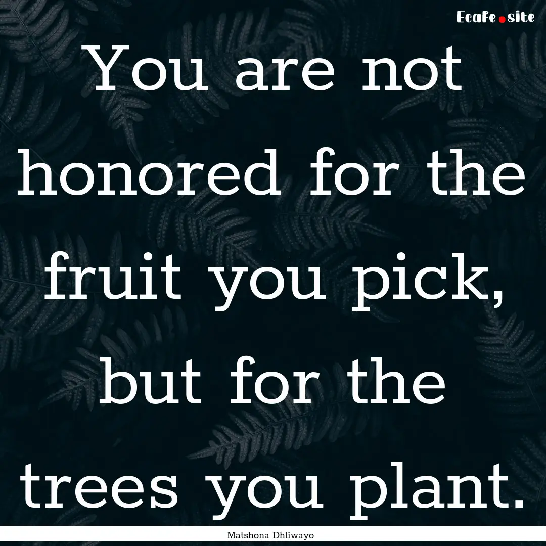 You are not honored for the fruit you pick,.... : Quote by Matshona Dhliwayo