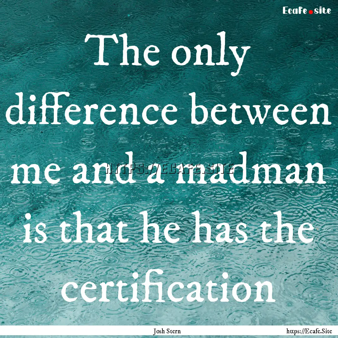 The only difference between me and a madman.... : Quote by Josh Stern