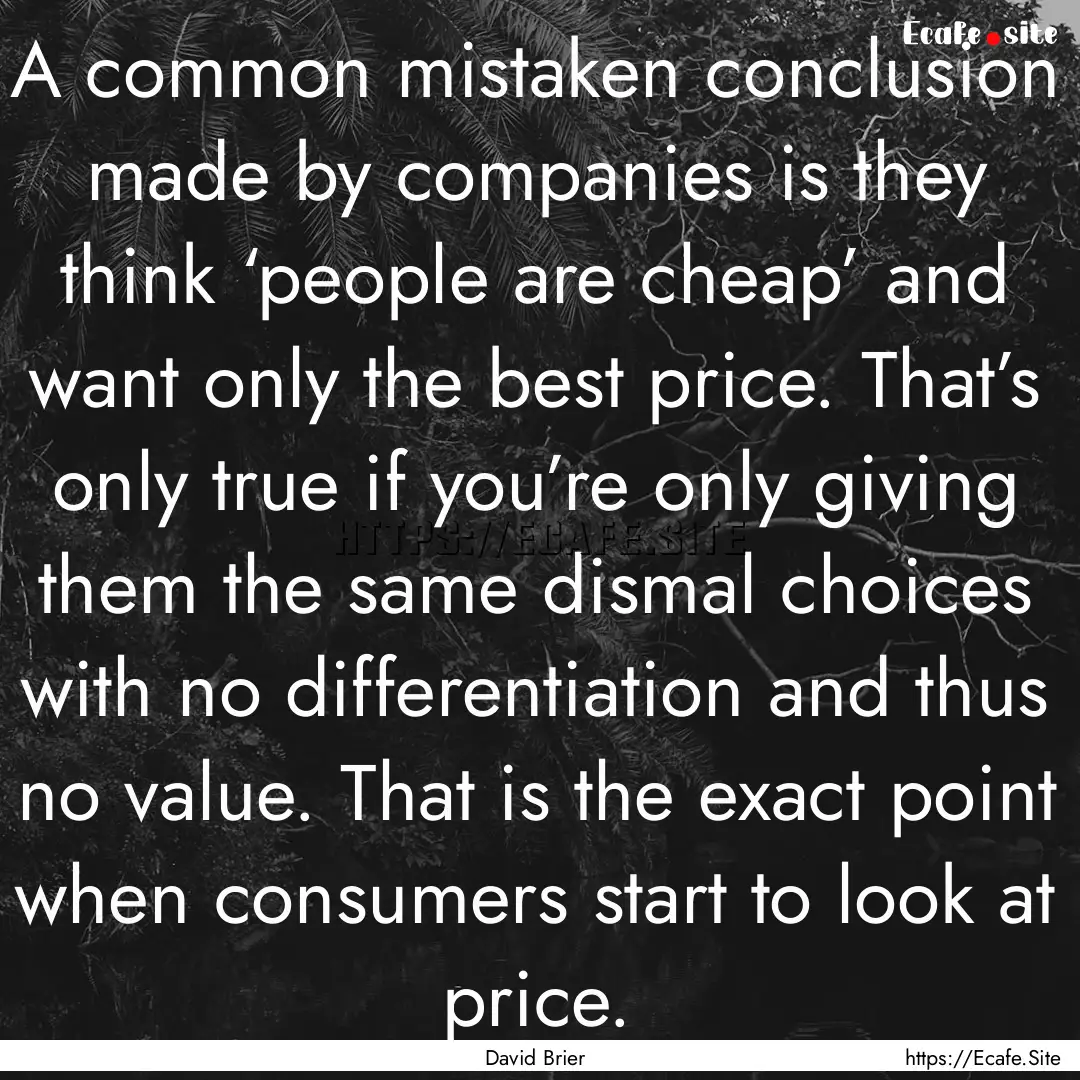 A common mistaken conclusion made by companies.... : Quote by David Brier