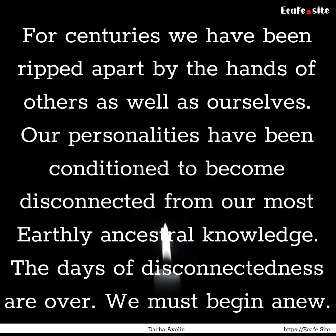 For centuries we have been ripped apart by.... : Quote by Dacha Avelin