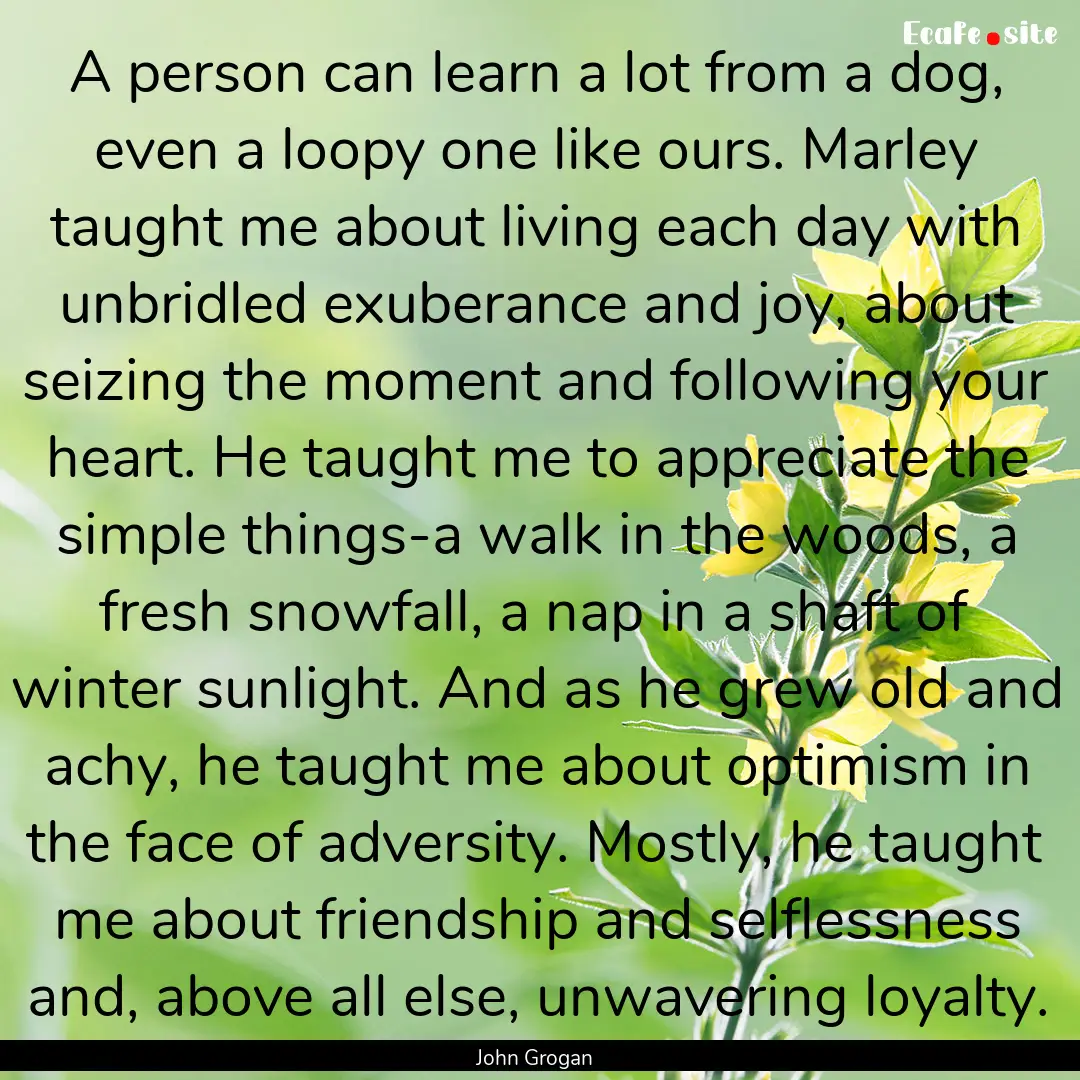 A person can learn a lot from a dog, even.... : Quote by John Grogan