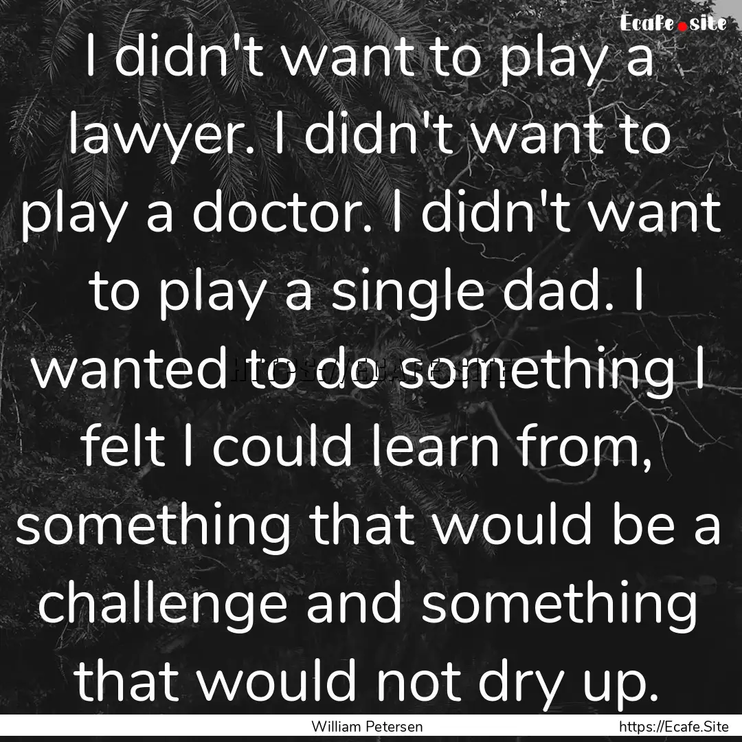 I didn't want to play a lawyer. I didn't.... : Quote by William Petersen