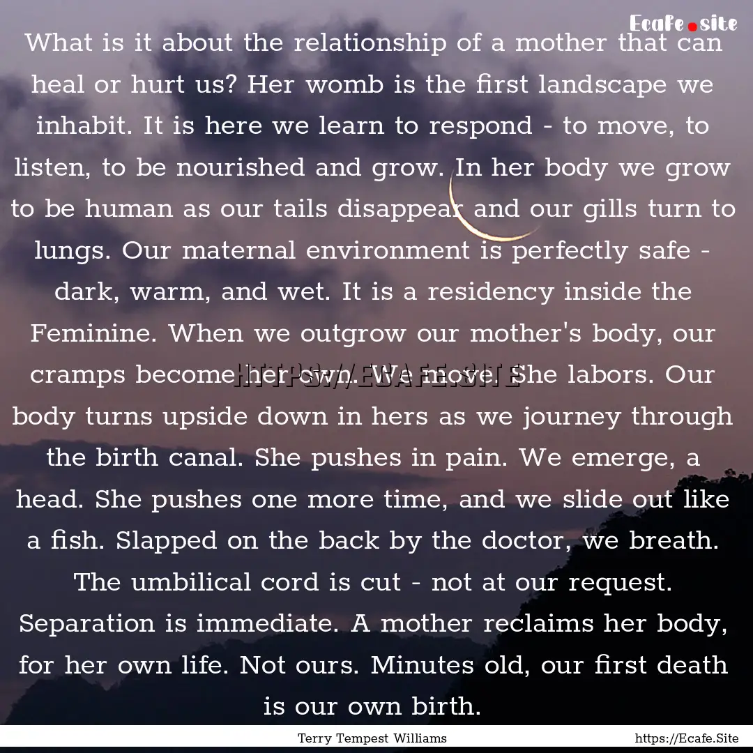 What is it about the relationship of a mother.... : Quote by Terry Tempest Williams