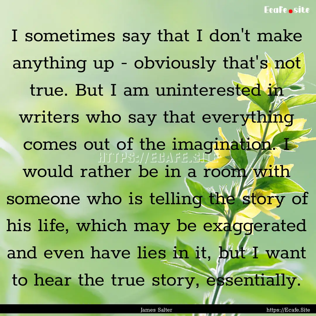 I sometimes say that I don't make anything.... : Quote by James Salter