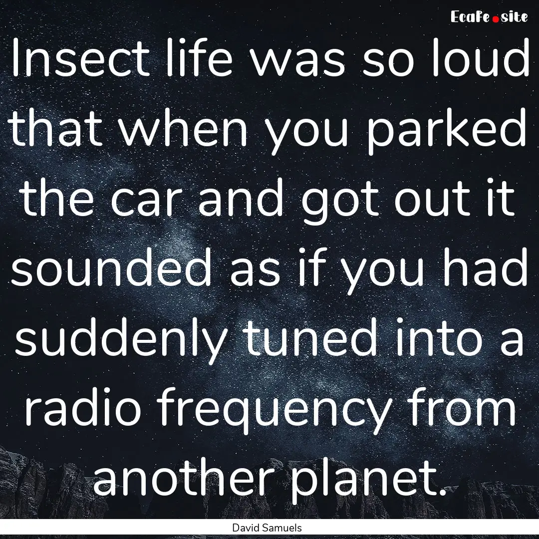 Insect life was so loud that when you parked.... : Quote by David Samuels