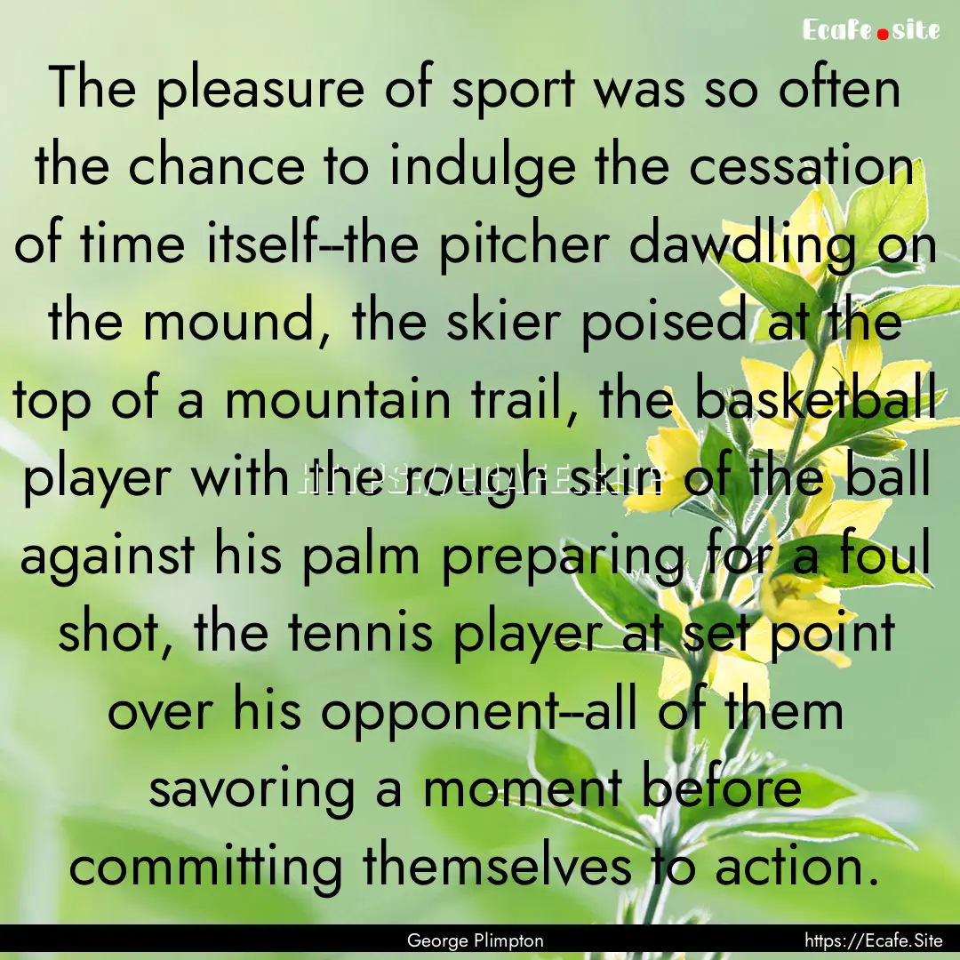 The pleasure of sport was so often the chance.... : Quote by George Plimpton