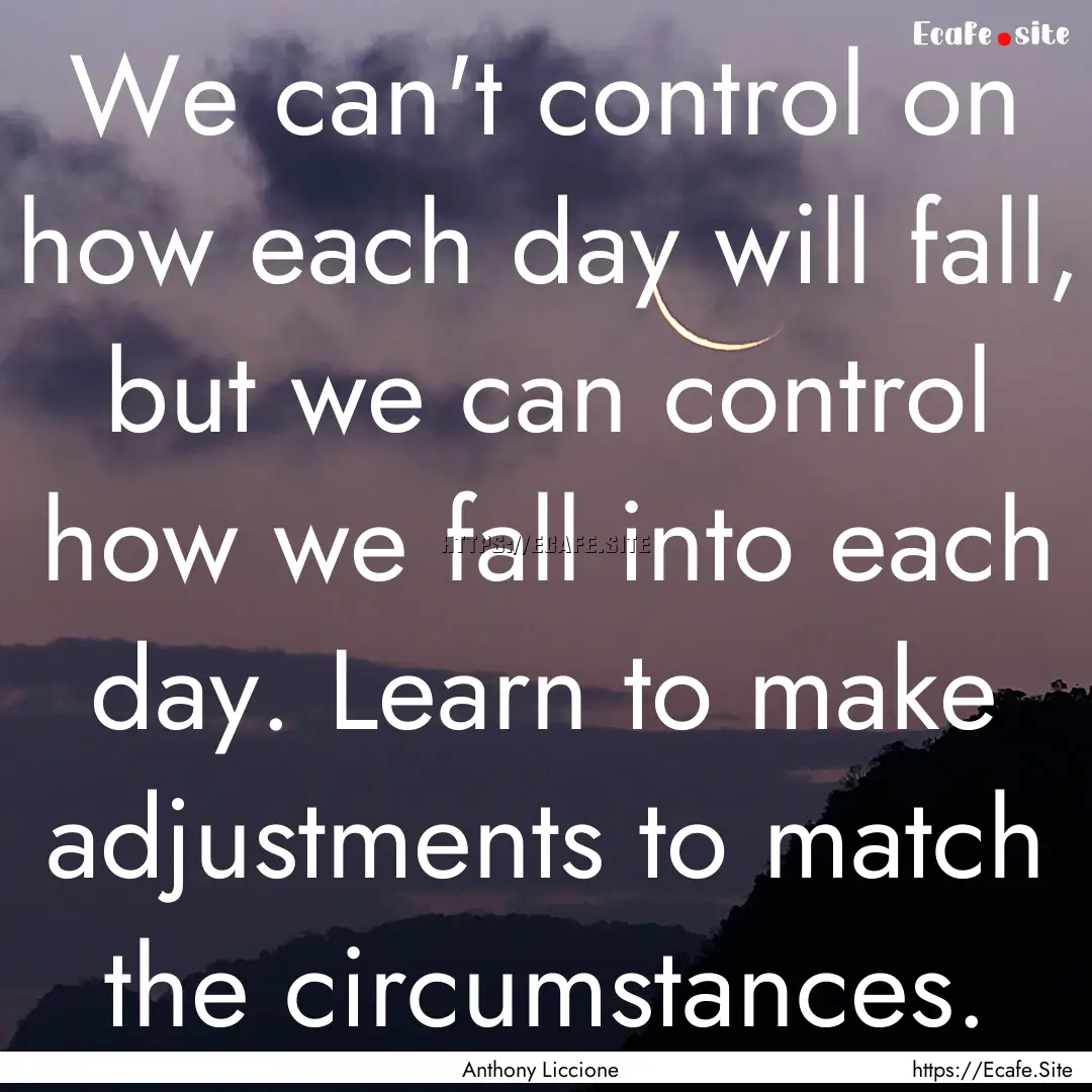 We can't control on how each day will fall,.... : Quote by Anthony Liccione