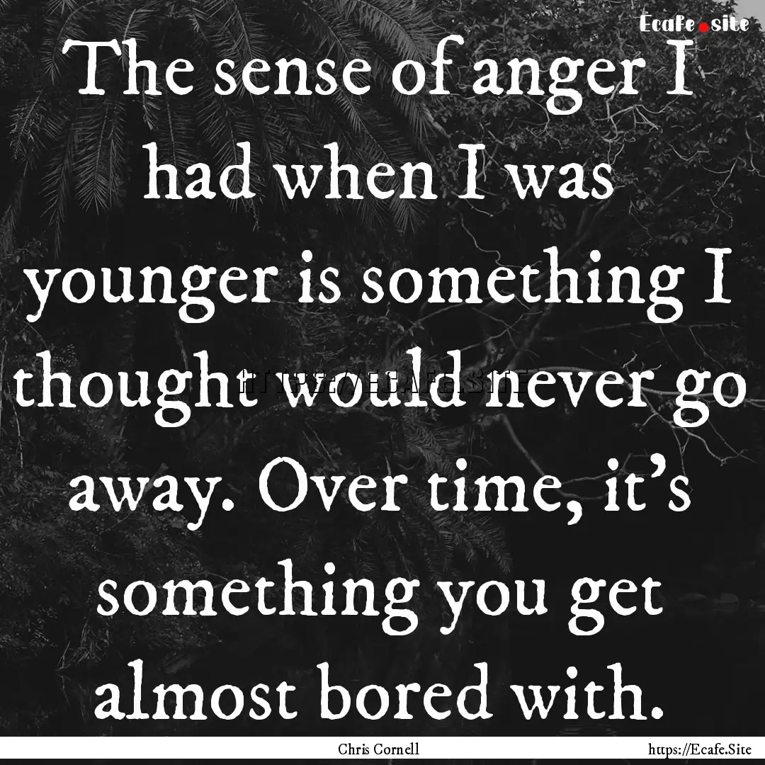 The sense of anger I had when I was younger.... : Quote by Chris Cornell