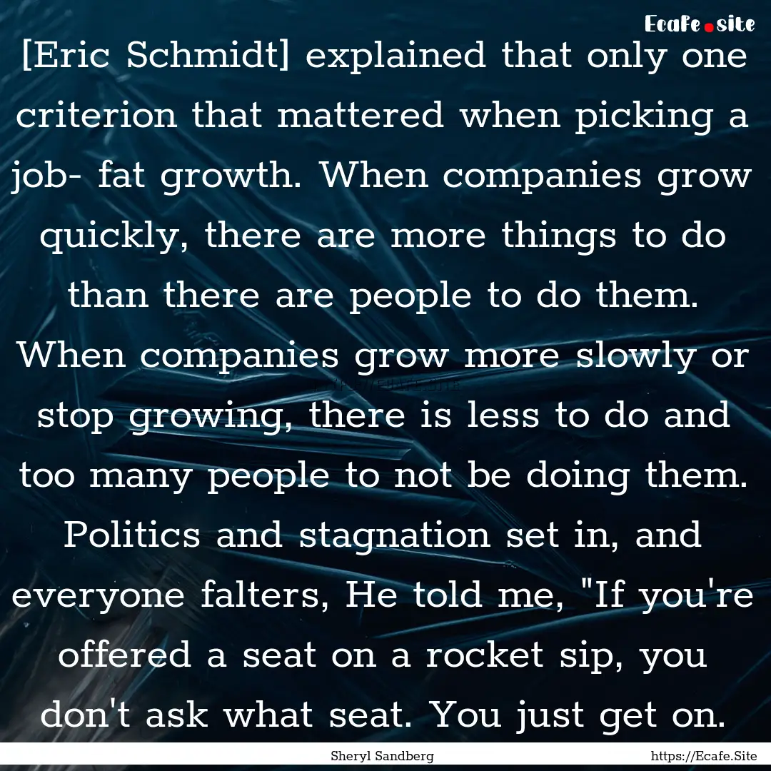 [Eric Schmidt] explained that only one criterion.... : Quote by Sheryl Sandberg