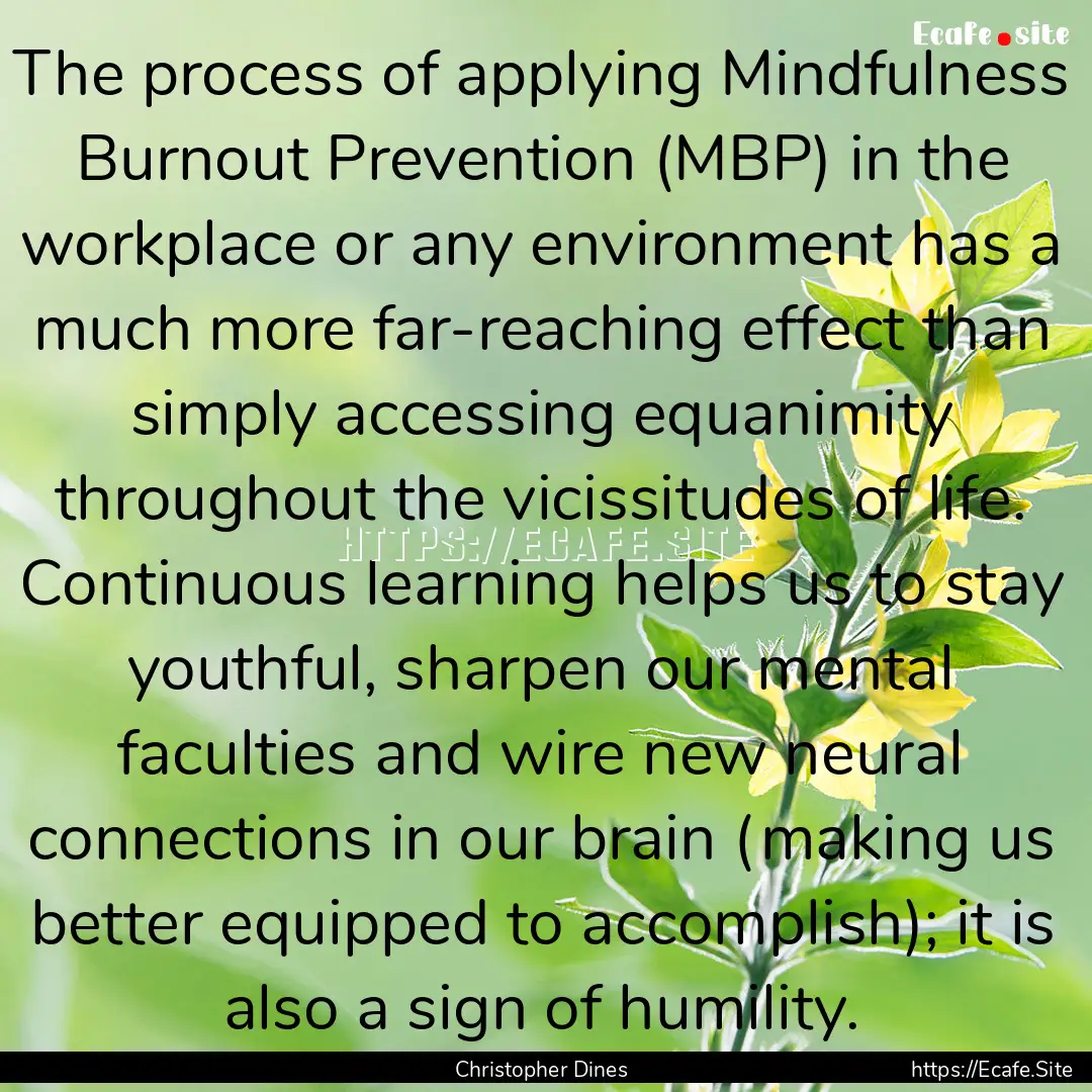 The process of applying Mindfulness Burnout.... : Quote by Christopher Dines