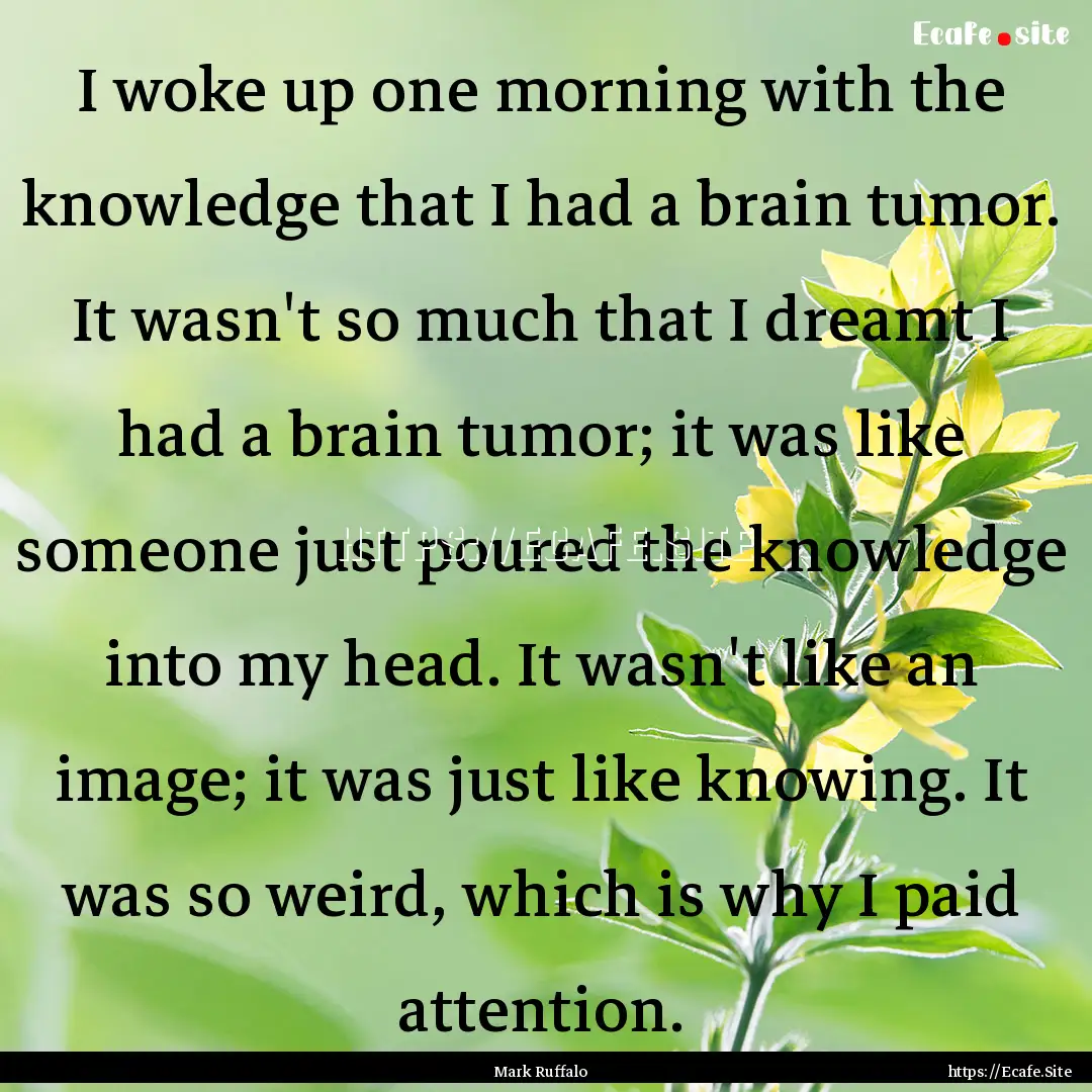 I woke up one morning with the knowledge.... : Quote by Mark Ruffalo