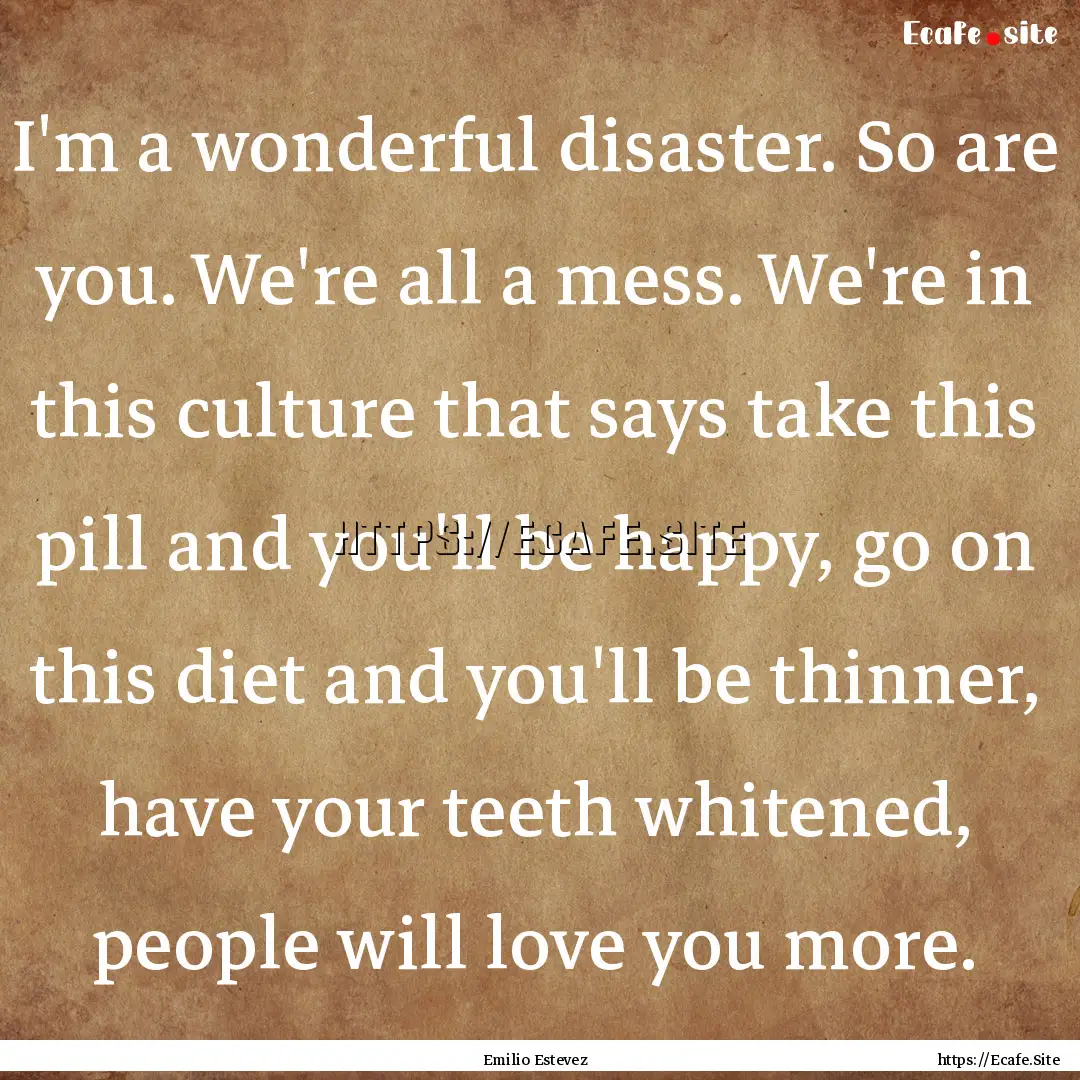 I'm a wonderful disaster. So are you. We're.... : Quote by Emilio Estevez