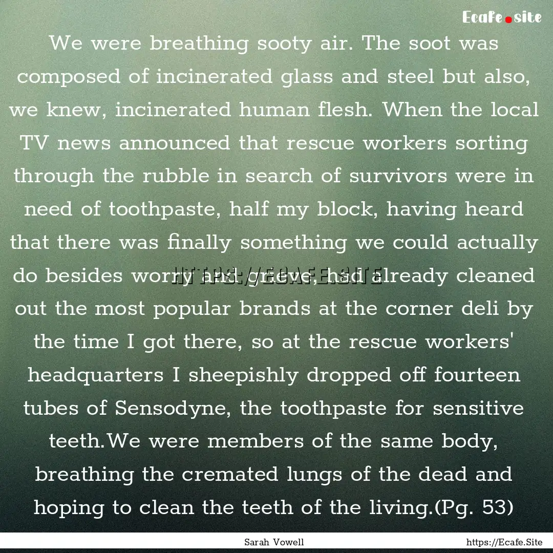 We were breathing sooty air. The soot was.... : Quote by Sarah Vowell