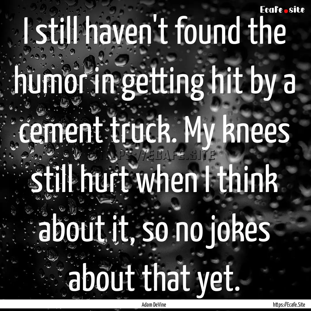 I still haven't found the humor in getting.... : Quote by Adam DeVine