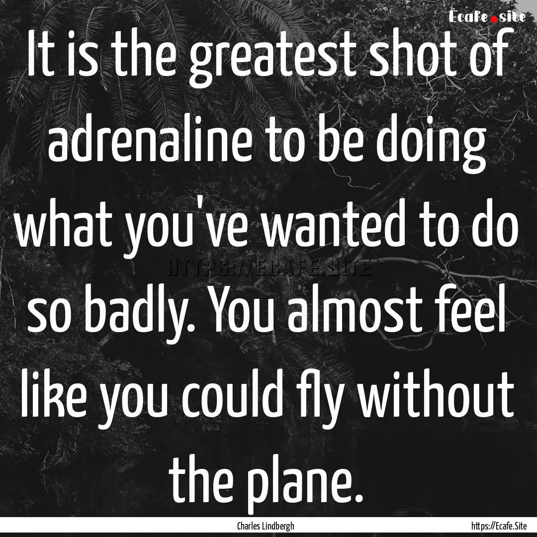 It is the greatest shot of adrenaline to.... : Quote by Charles Lindbergh