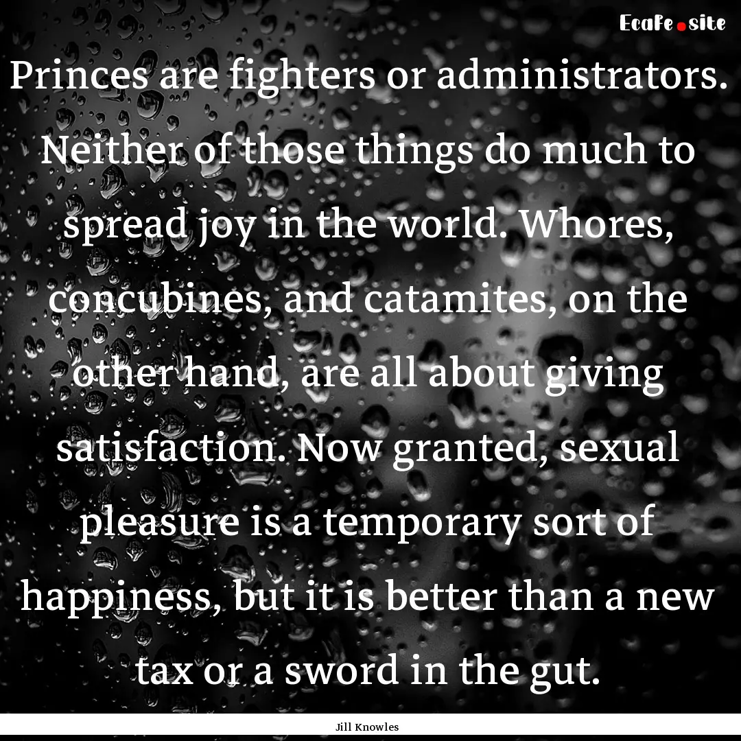 Princes are fighters or administrators. Neither.... : Quote by Jill Knowles