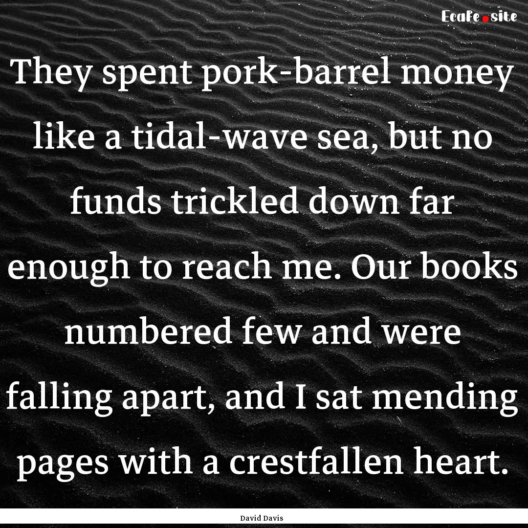 They spent pork-barrel money like a tidal-wave.... : Quote by David Davis