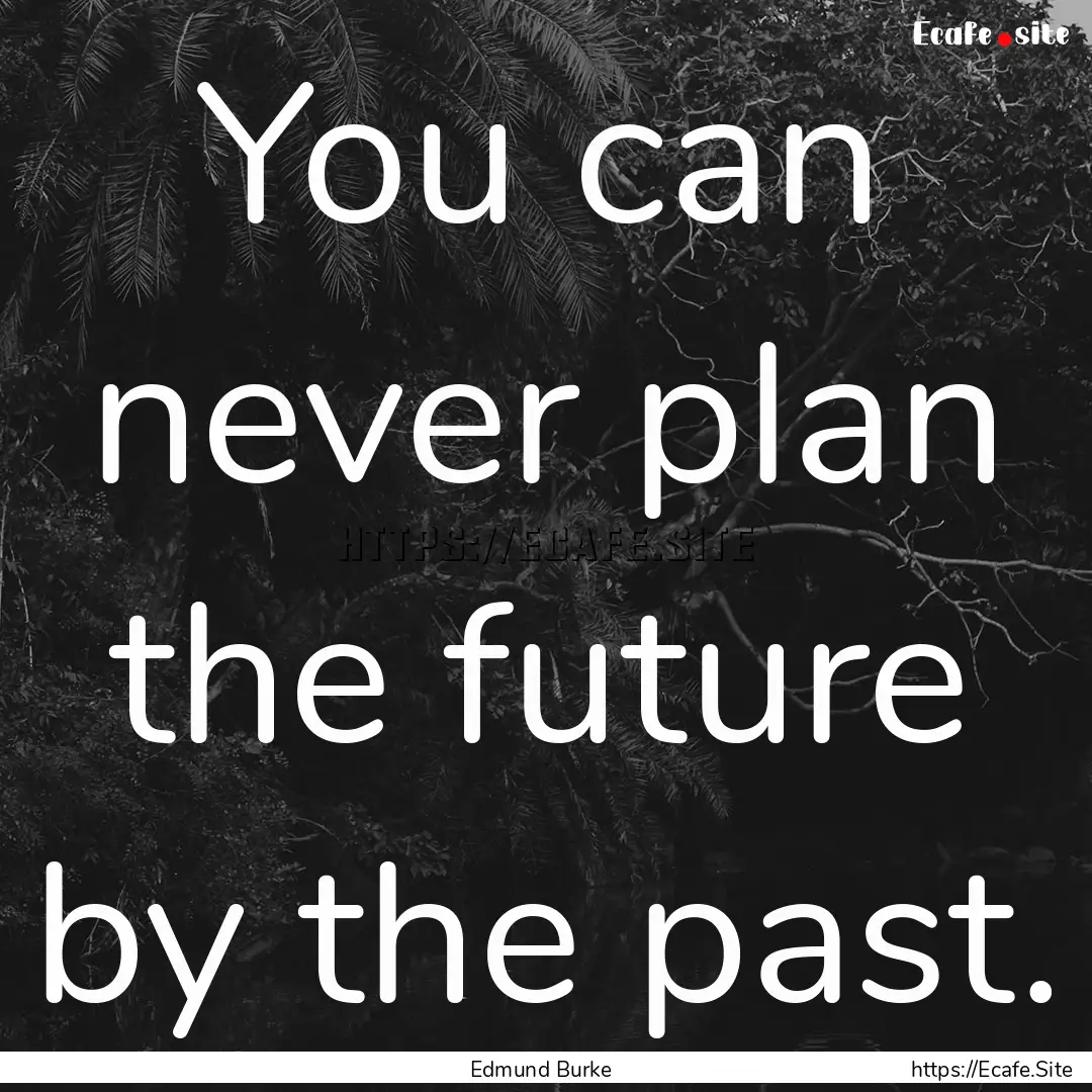 You can never plan the future by the past..... : Quote by Edmund Burke