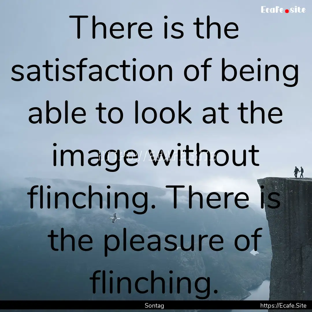 There is the satisfaction of being able to.... : Quote by Sontag