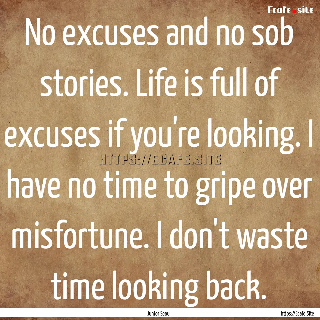 No excuses and no sob stories. Life is full.... : Quote by Junior Seau