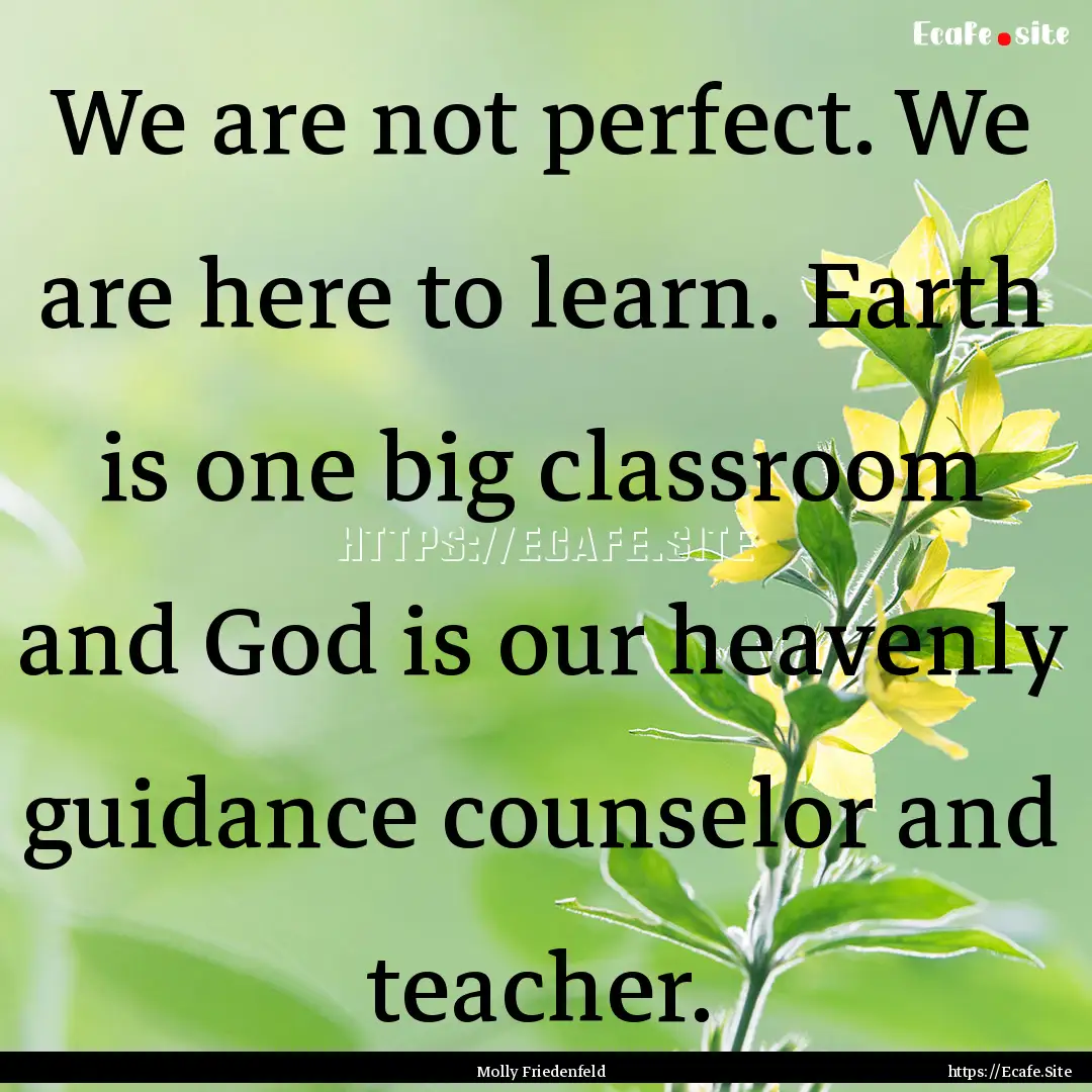 We are not perfect. We are here to learn..... : Quote by Molly Friedenfeld