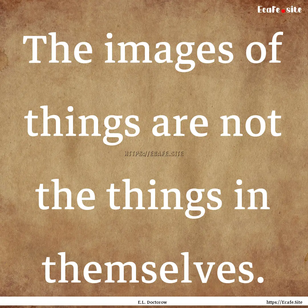 The images of things are not the things in.... : Quote by E.L. Doctorow