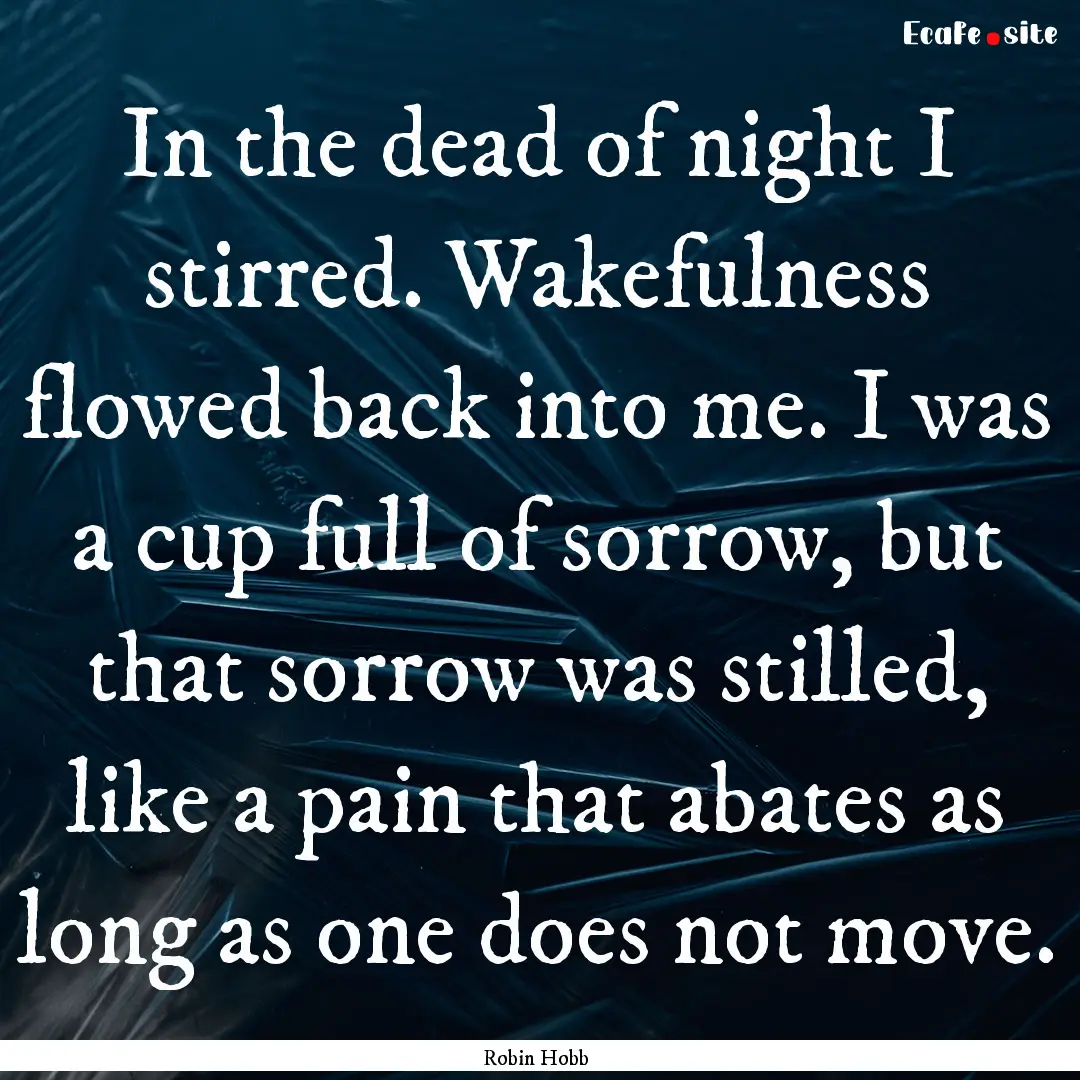 In the dead of night I stirred. Wakefulness.... : Quote by Robin Hobb