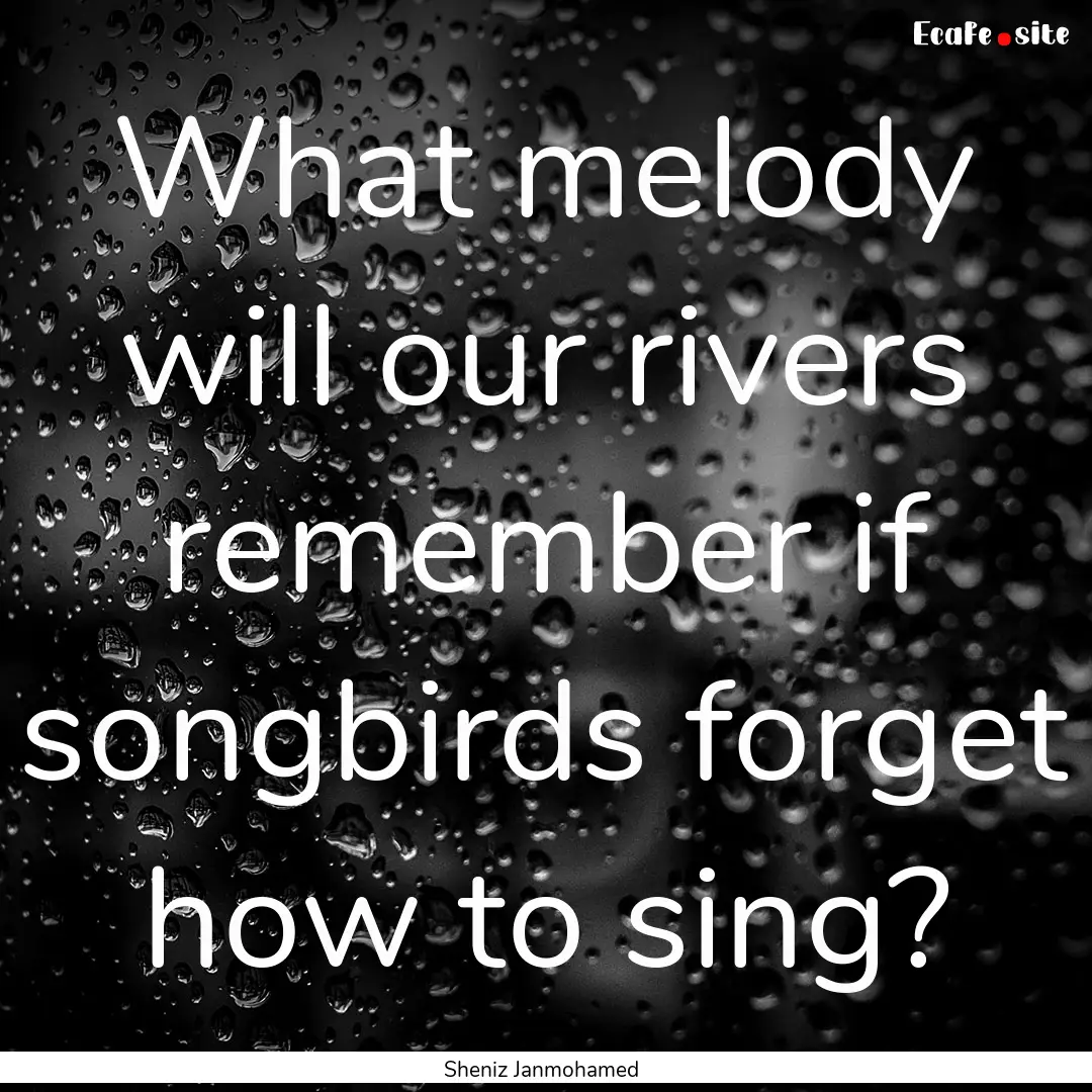 What melody will our rivers remember if songbirds.... : Quote by Sheniz Janmohamed