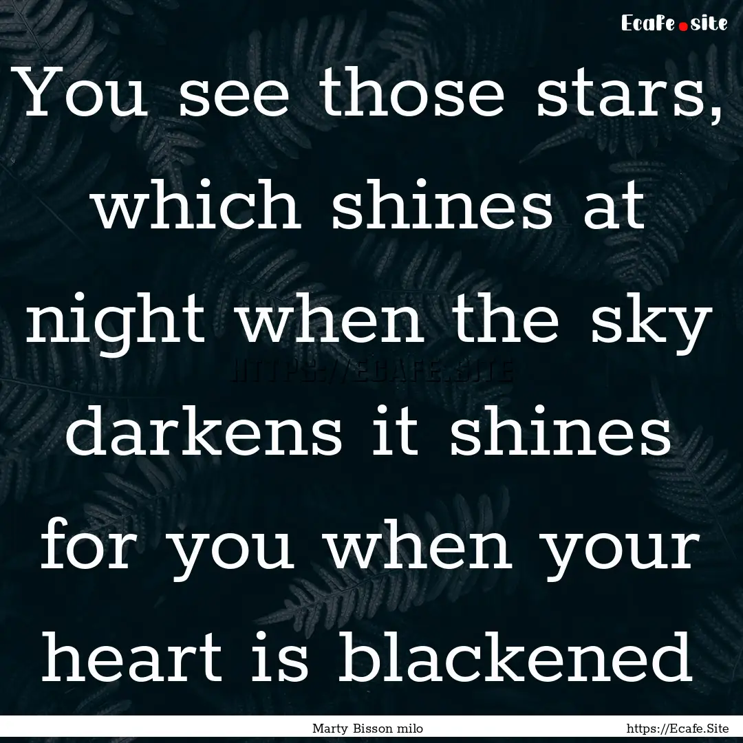 You see those stars, which shines at night.... : Quote by Marty Bisson milo