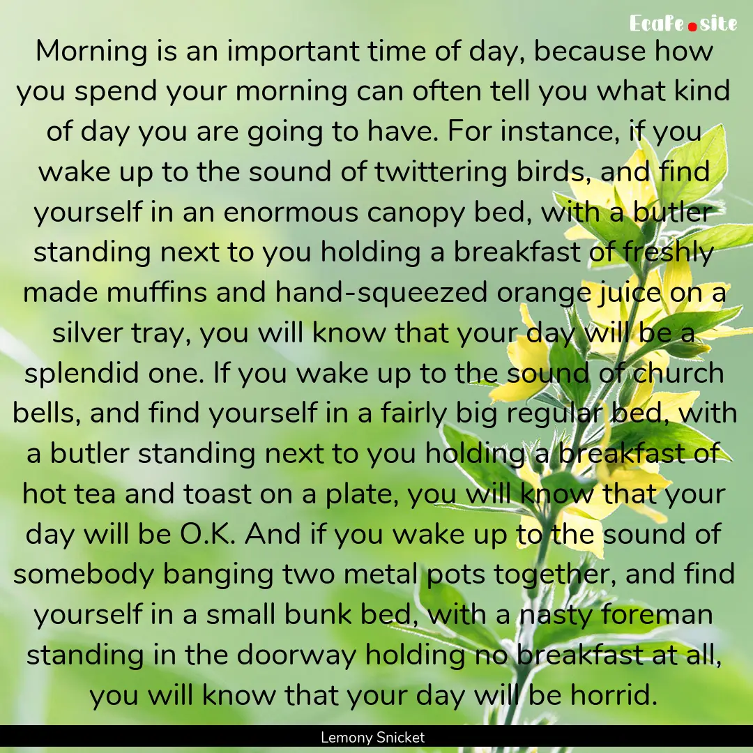 Morning is an important time of day, because.... : Quote by Lemony Snicket