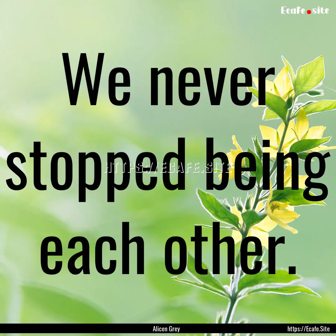 We never stopped being each other. : Quote by Alicen Grey