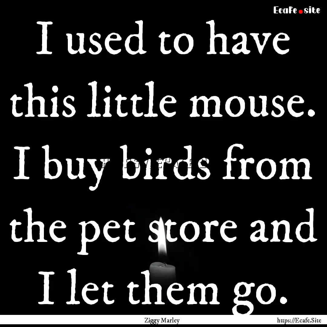 I used to have this little mouse. I buy birds.... : Quote by Ziggy Marley