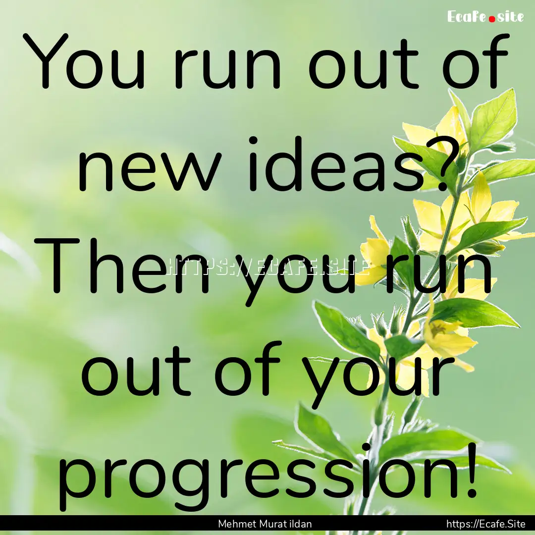 You run out of new ideas? Then you run out.... : Quote by Mehmet Murat ildan