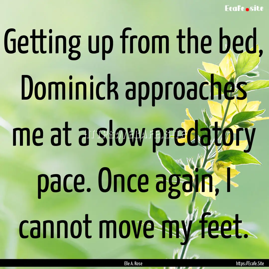 Getting up from the bed, Dominick approaches.... : Quote by Elle A. Rose