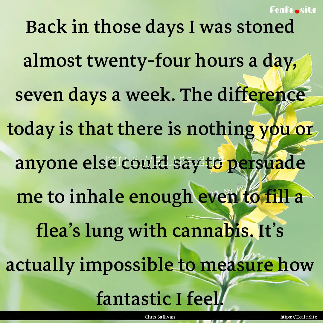 Back in those days I was stoned almost twenty-four.... : Quote by Chris Sullivan