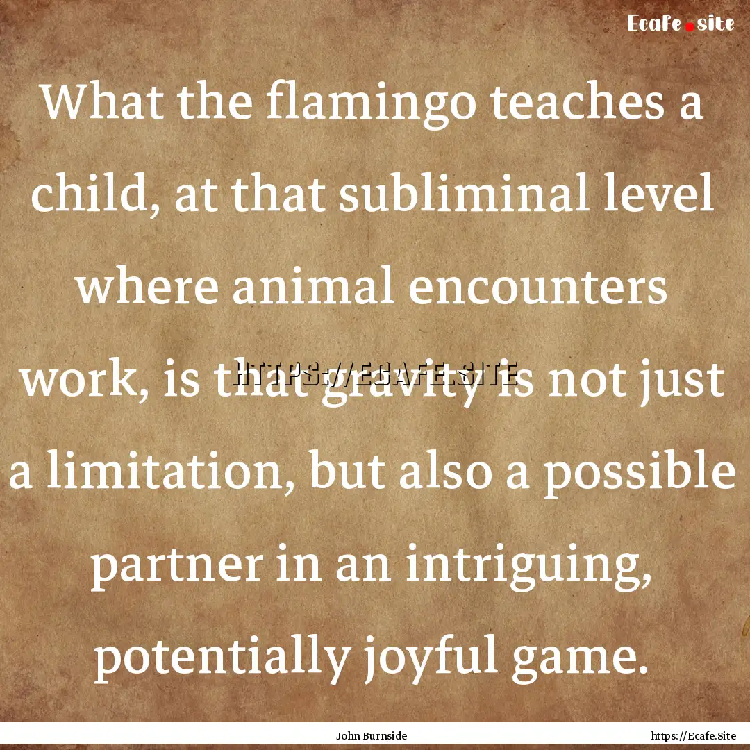 What the flamingo teaches a child, at that.... : Quote by John Burnside